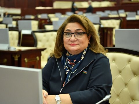 Heç Eynşteyn də testdən keçə bilməz - Deputat