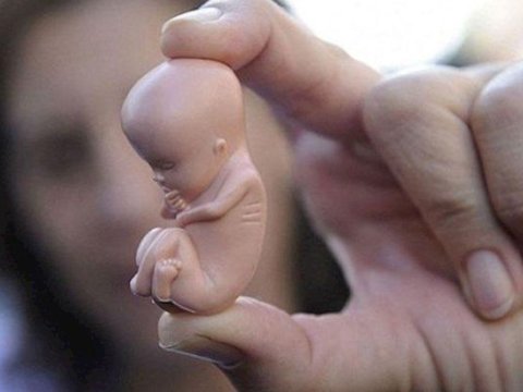 Abortların sayı kəskin ARTIB