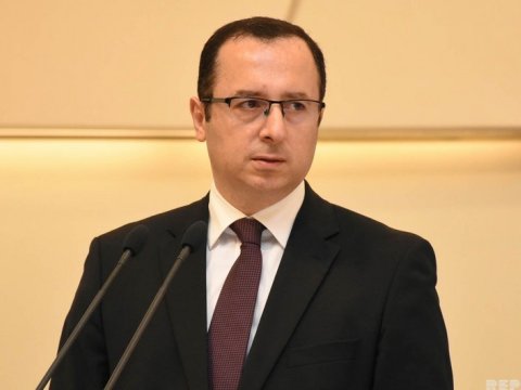 Tam obyektiv məlumat Avropa Məhkəməsinə təqdim ediləcək 