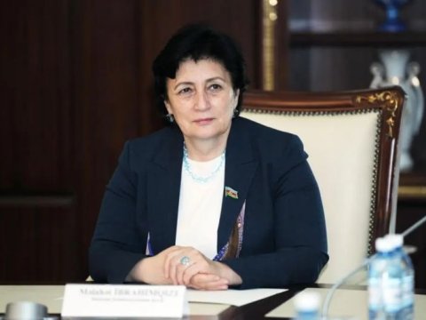 Bu aksiya təkcə bizi maraqlandırır 