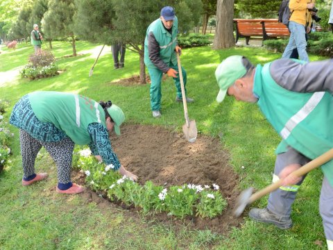 Bakıda ümumşəhər iməcliyi keçirilib