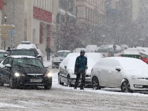 DYP sürücü və piyadalara müraciət etdi
