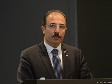 Biz diasporun gücünü çox gec anladıq - Səfir