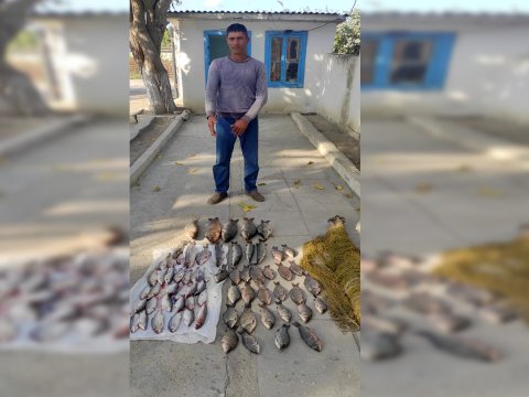 Brakonyerliklə məşğul olan şəxsə CİNAYƏT İŞİ açıldı