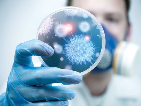 Gürcüstanda 12 növ virus AŞKARLANIB