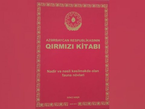 “Qırmızı kitab”ın III nəşri hazırlanır