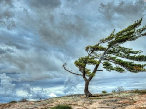 Sabahın havası - Külək əsəcək, temperatur artacaq