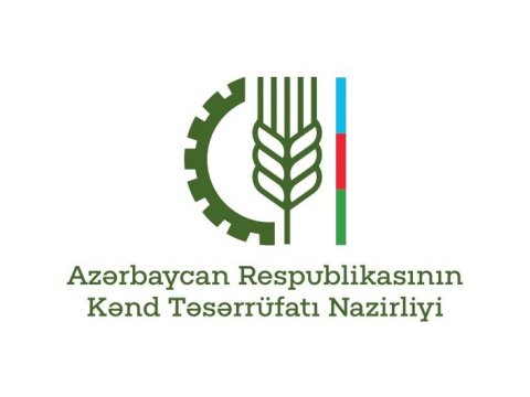 İş axtaranların nəzərinə! - Nazirlik vakansiya elan etdi