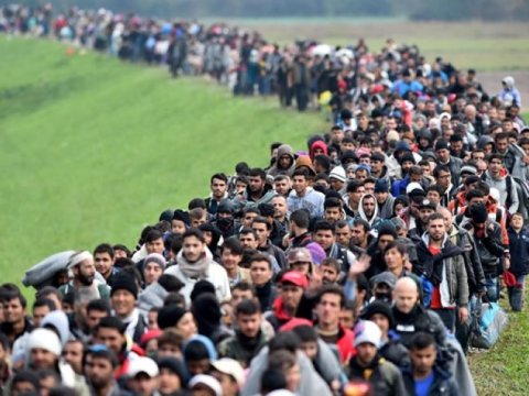 Avropada sığınacaq axtaranların sayı 50% artıb