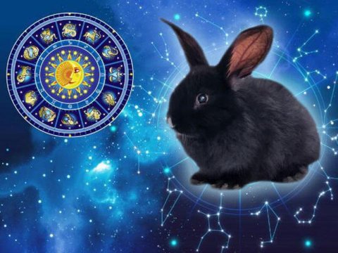 Dovşan illərində nələr olub? - 108 İLİN ARAŞDIRMASI