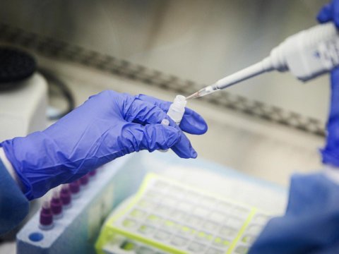 Yaponiya Çindən gələnləri karantində saxlayacaq