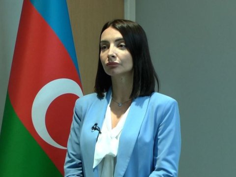 “Bircə Fransadakı səfir Leyla Abdullayeva...” - Siyasi ekspertdən diplomatlara TƏNQİD