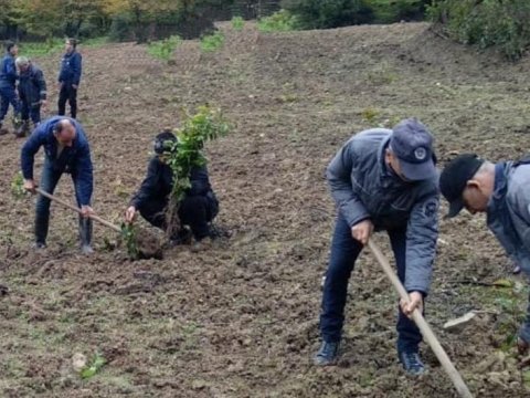 Bu il 1,5 milyon ağac əkilib
