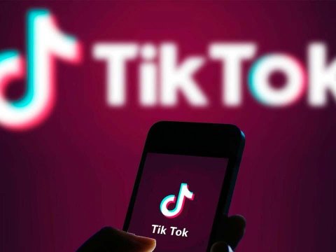 Parlamentdə “Tik-Tok”un qadağan olunması təklif edildi
