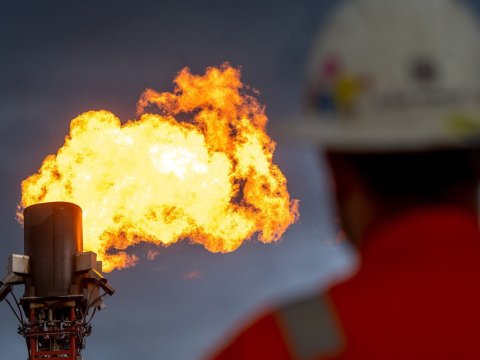 Avropada qazın qiyməti 800 dollardan aşağı düşdü