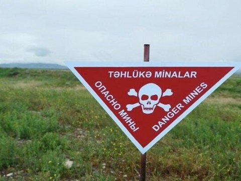 Bu il azad edilmiş ərazilərdə 12 313 mina aşkarlanıb