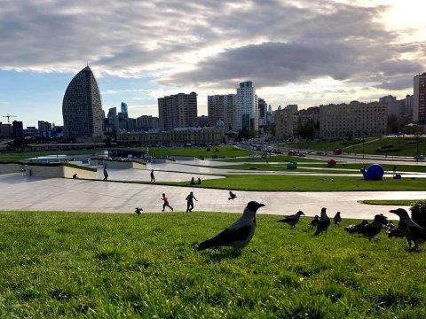 Sabah temperatur 14 dərəcəyə YÜKSƏLƏCƏK