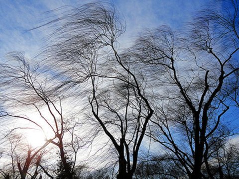 Qazaxıstanda fövqəladə vəziyyət elan edildi