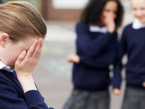 Bullinqlə necə mübarizə aparmalı? - Deputat YAZDI