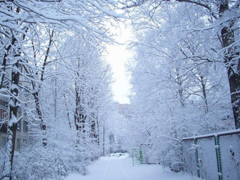 Rayonlara qar yağır - FAKTİKİ HAVA