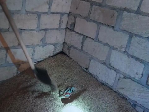 Keçmiş məhkum eyni əmələ görə yenidən TUTULDU