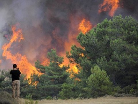 Türkiyədə yenə meşələr alovlandı - Güclü yanğın
