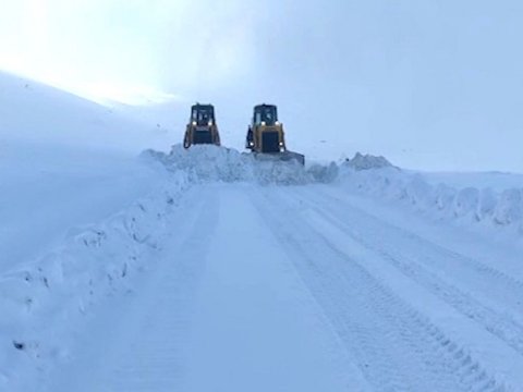 Orduda donvurma halı qeydə alınmayıb - VİDEO