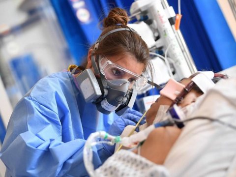 Gürcüstanda yeni ştam aşkarlandı - 140 faiz yoluxucudur