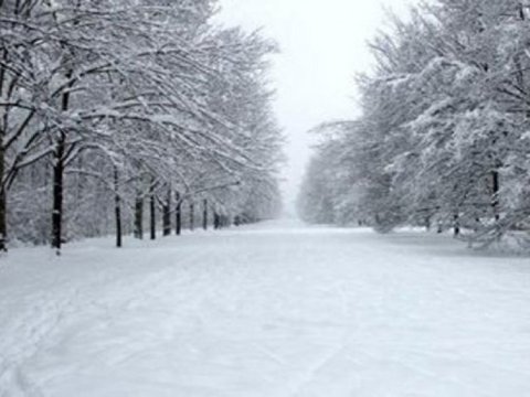 Həftəsonu temperatur yüksələcək - PROQNOZ