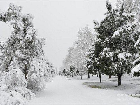 Rayonlarda qar yağıb - FAKTİKİ HAVA