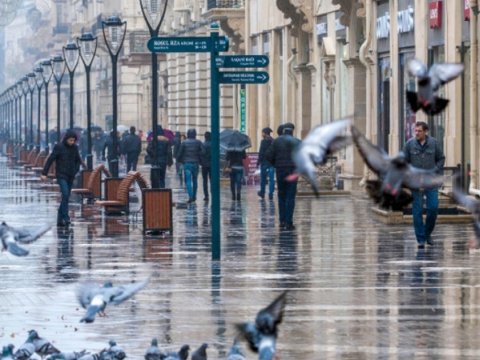 Bu günün hava PROQNOZU