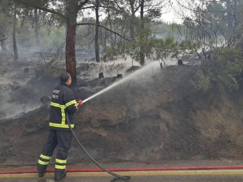 Türkiyədə yenə meşə YANDI