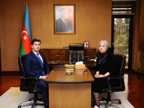 İcra başçısı şəhid anası ilə görüşüb