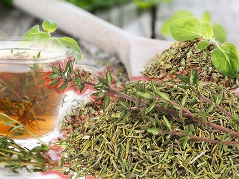 Kəklikotu çayı həyat eşqini artırır