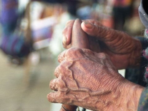 Alimlərin uzunömürlü olmalarının səbəbləri araşdırılacaq