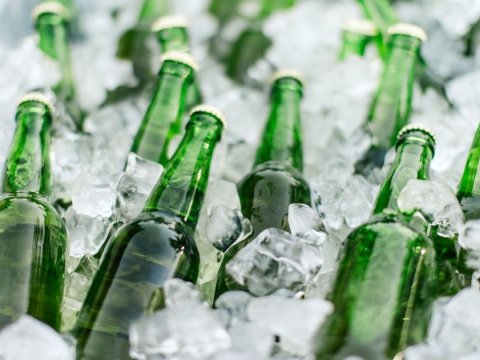 Azərbaycanda pivə istehsalı üçün arpa emalı zavodu AÇILACAQ