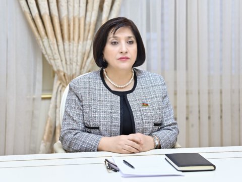 Sahibə Qafarova Çexiya səfiri ilə görüşdü