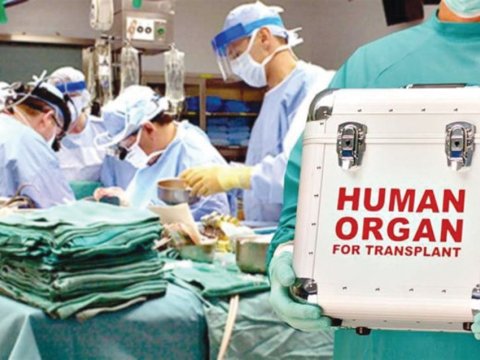 Orqan köçürülməsi üçün mərkəz fəaliyyətə başlayıb