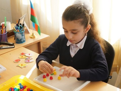 Evdə təhsil alan şagirdlərin sayı AÇIQLANDI