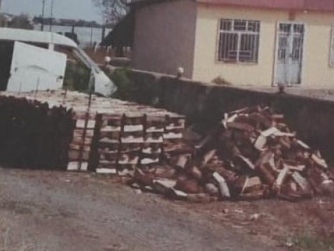 Qanunsuz yolla əldə edilən meşə materialı aşkarlandı