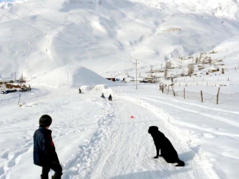 Faktiki hava - Bu ərazilərə qar yağıb