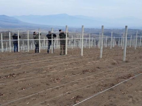 Hadrutdan qaçan iş adamı Əsgəranda yeni çaxır zavodu TİKİR