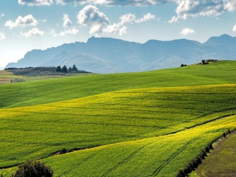 Torpaqların icarəsi ilə bağlı DƏYİŞİKLİK