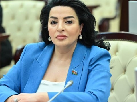 Fatma Yıldırım Bərdənin problemlərini parlamentdə qaldırdı
