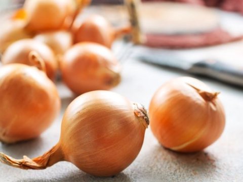 Soğan gömrük rüsumundan azad edildi