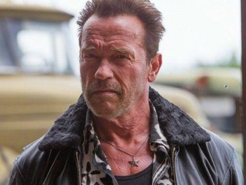 Arnold Şvartsenegger yenə qəzaya düşdü