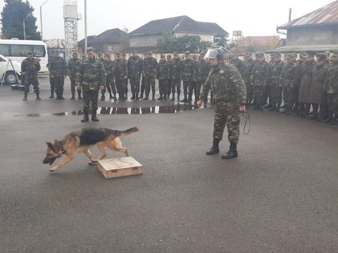 Azərbaycan Türkiyədə xilasetmə itləri GÖNDƏRİR