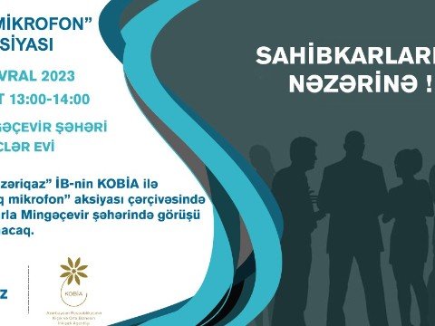 Sahibkarlarla növbəti görüş Mingəçevirdə keçiriləcək
