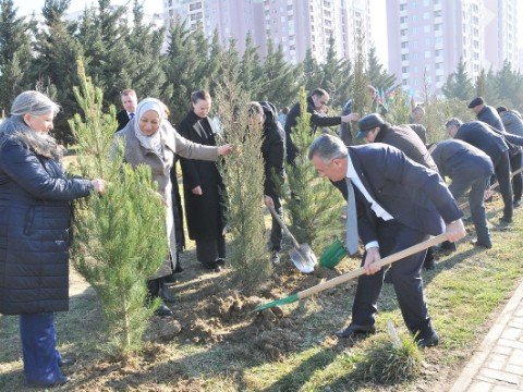 Abşeronda abadlıq-təmizlik işləri görüldü - FOTOLAR