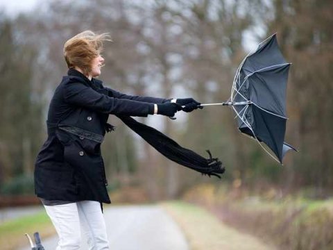 Güclü küləklə bağlı məktəb rəhbərlərinə tapşırıqlar verildi